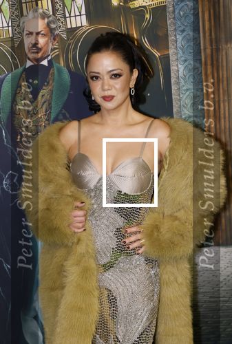 Amsterdam 18 november 2025
Premiere Wicked in het deLaMar theater . Cystine Carreon kwam met haar kinderen
