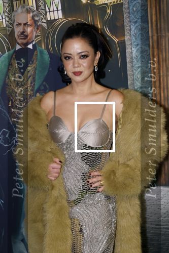 Amsterdam 18 november 2025
Premiere Wicked in het deLaMar theater . Cystine Carreon kwam met haar kinderen