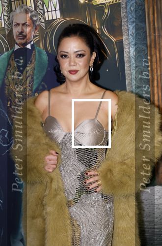 Amsterdam 18 november 2025
Premiere Wicked in het deLaMar theater . Cystine Carreon kwam met haar kinderen