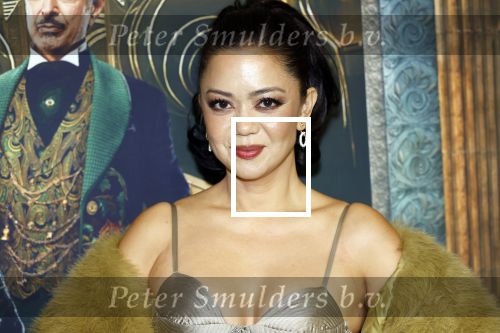 Amsterdam 18 november 2025
Premiere Wicked in het deLaMar theater . Cystine Carreon kwam met haar kinderen