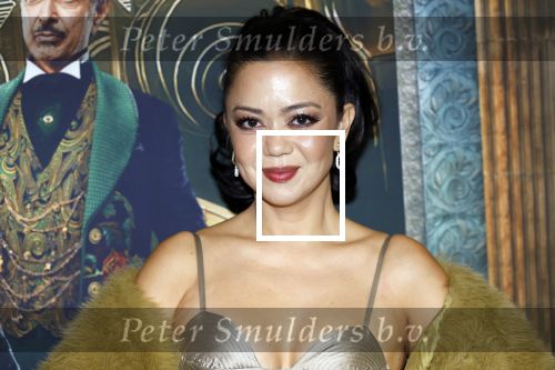 Amsterdam 18 november 2025
Premiere Wicked in het deLaMar theater . Cystine Carreon kwam met haar kinderen