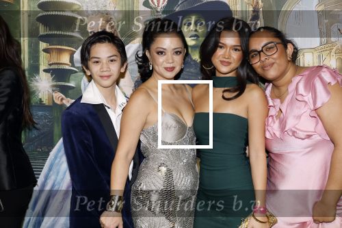 Amsterdam 18 november 2025
Premiere Wicked in het deLaMar theater . Cystine Carreon kwam met haar kinderen