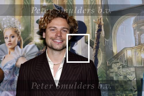 Amsterdam 18 november 2025
Premiere Wicked in het deLaMar theater . Daan van der Lecq