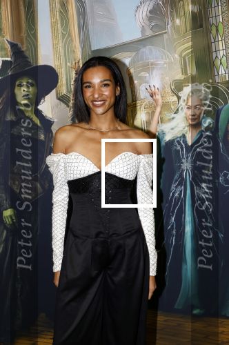 Amsterdam 18 november 2025
Premiere Wicked in het deLaMar theater . danique Graanoogst