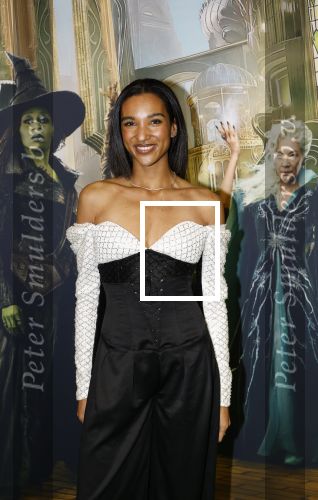 Amsterdam 18 november 2025
Premiere Wicked in het deLaMar theater . danique Graanoogst