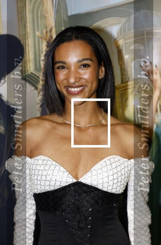Amsterdam 18 november 2025
Premiere Wicked in het deLaMar theater . danique Graanoogst