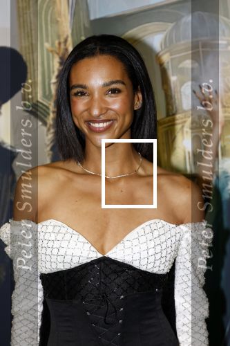 Amsterdam 18 november 2025
Premiere Wicked in het deLaMar theater . danique Graanoogst
