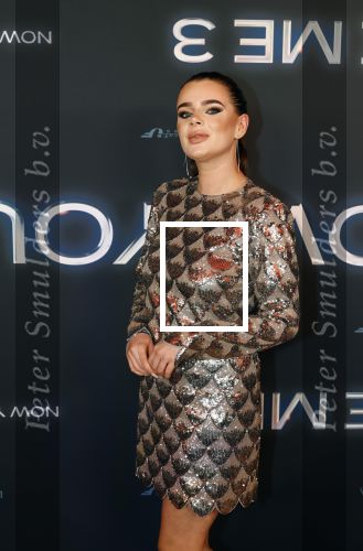 Amsterdam 11 november 2025
Premiere Now you see me 3 bij The Harbour Club . Dianne v d Eng kwam met een vriend