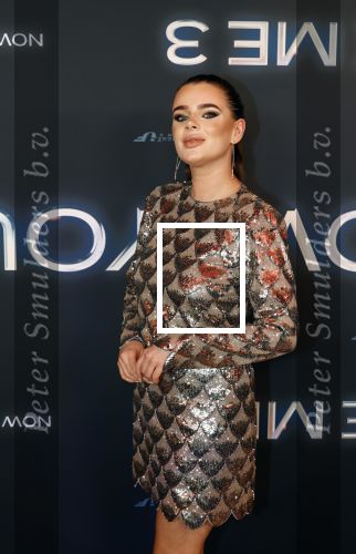 Amsterdam 11 november 2025
Premiere Now you see me 3 bij The Harbour Club . Dianne v d Eng kwam met een vriend