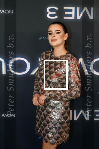 Amsterdam 11 november 2025
Premiere Now you see me 3 bij The Harbour Club . Dianne v d Eng kwam met een vriend