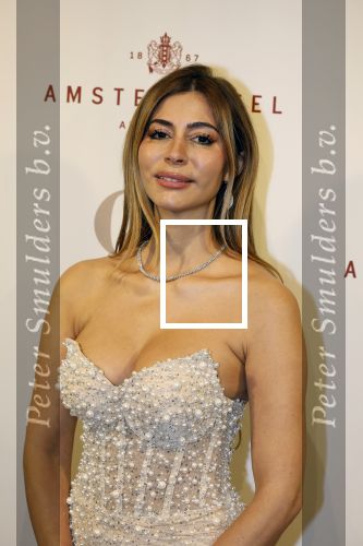 Amsterdam 26 november 2025
Olcay Gulsen geeft een groot feest ( Gemaskerd bal) in het Amstel Hotel. Dolshe Gulsen