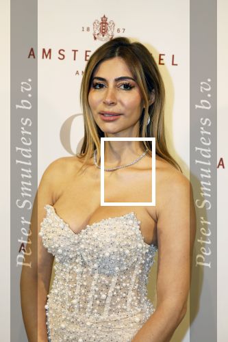 Amsterdam 26 november 2025
Olcay Gulsen geeft een groot feest ( Gemaskerd bal) in het Amstel Hotel. Dolshe Gulsen