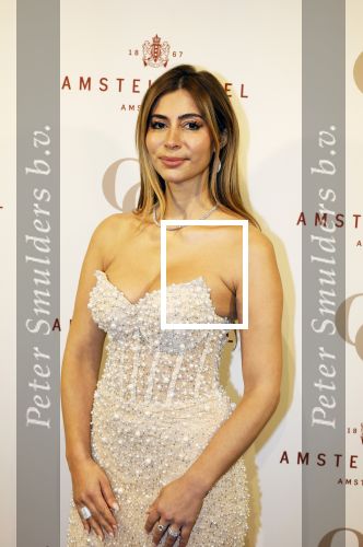 Amsterdam 26 november 2025
Olcay Gulsen geeft een groot feest ( Gemaskerd bal) in het Amstel Hotel. Dolshe Gulsen