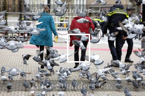Den Haag 20 november 2025
 Prinses Amalia en haar vader Koning Willem Alexander bij de Grote Kerk, na de Bijzondere Verenigde Vergadering van de Eerste en Tweede Kamer, ter gelegenheid van de tachtigste verjaardag dat het parlement na de Tweede Wereldoorlog voor het eerst weer in gezamenlijkheid bijeenkwam. Eerste Kamervoorzitter Mei Li Vos Tweede Kamervoorzitter Thom van Campenvingen ze op . Heel veel duiven