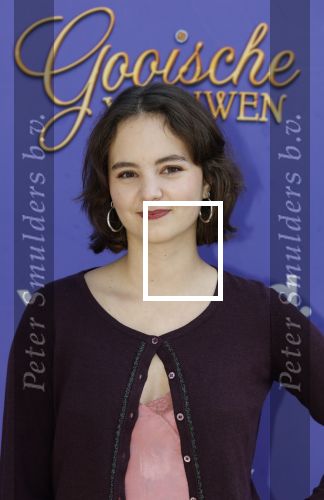 Blaricum 17 oktober 2025
Perspresentatie eerste aflevering Gooische vrouwen met oa aanwezig Linda de Mol Susan Visser Liews Visschedijk Teunie de Brouwer Tommy v Lent Robert de Hoog en Eefje Kuijtzer