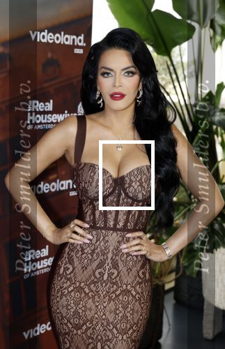 Amsterdam 11 november 2025
Presentatie real housewives of Amsterdam in het W hotel.
Aanwezig Niama Amhali Renee Vervoorn Cherry Ann Person Lilian Dziedzic Kimmylien Nguyen Djamila Celina en Elvira Penthesilea.
