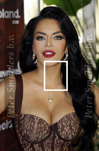 Amsterdam 11 november 2025
Presentatie real housewives of Amsterdam in het W hotel.
Aanwezig Niama Amhali Renee Vervoorn Cherry Ann Person Lilian Dziedzic Kimmylien Nguyen Djamila Celina en Elvira Penthesilea.