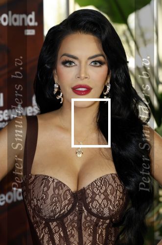 Amsterdam 11 november 2025
Presentatie real housewives of Amsterdam in het W hotel.
Aanwezig Niama Amhali Renee Vervoorn Cherry Ann Person Lilian Dziedzic Kimmylien Nguyen Djamila Celina en Elvira Penthesilea.