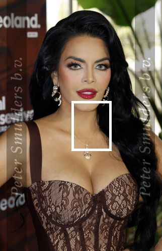Amsterdam 11 november 2025
Presentatie real housewives of Amsterdam in het W hotel.
Aanwezig Niama Amhali Renee Vervoorn Cherry Ann Person Lilian Dziedzic Kimmylien Nguyen Djamila Celina en Elvira Penthesilea.