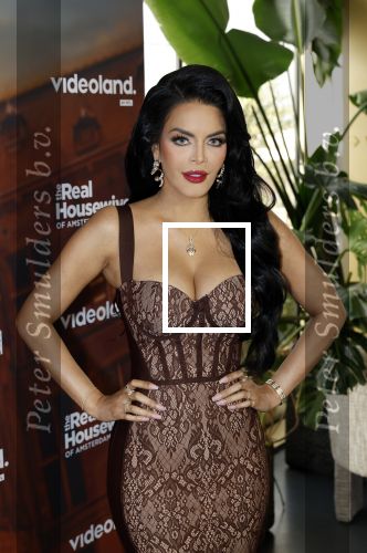 Amsterdam 11 november 2025
Presentatie real housewives of Amsterdam in het W hotel.
Aanwezig Niama Amhali Renee Vervoorn Cherry Ann Person Lilian Dziedzic Kimmylien Nguyen Djamila Celina en Elvira Penthesilea.