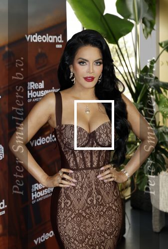 Amsterdam 11 november 2025
Presentatie real housewives of Amsterdam in het W hotel.
Aanwezig Niama Amhali Renee Vervoorn Cherry Ann Person Lilian Dziedzic Kimmylien Nguyen Djamila Celina en Elvira Penthesilea.