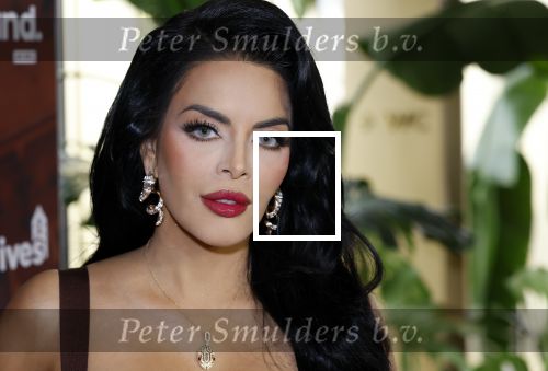 Amsterdam 11 november 2025
Presentatie real housewives of Amsterdam in het W hotel.
Aanwezig Niama Amhali Renee Vervoorn Cherry Ann Person Lilian Dziedzic Kimmylien Nguyen Djamila Celina en Elvira Penthesilea.