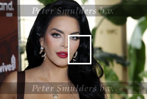 Amsterdam 11 november 2025
Presentatie real housewives of Amsterdam in het W hotel.
Aanwezig Niama Amhali Renee Vervoorn Cherry Ann Person Lilian Dziedzic Kimmylien Nguyen Djamila Celina en Elvira Penthesilea.