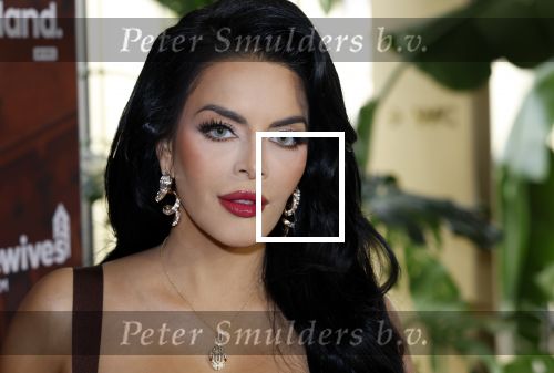 Amsterdam 11 november 2025
Presentatie real housewives of Amsterdam in het W hotel.
Aanwezig Niama Amhali Renee Vervoorn Cherry Ann Person Lilian Dziedzic Kimmylien Nguyen Djamila Celina en Elvira Penthesilea.