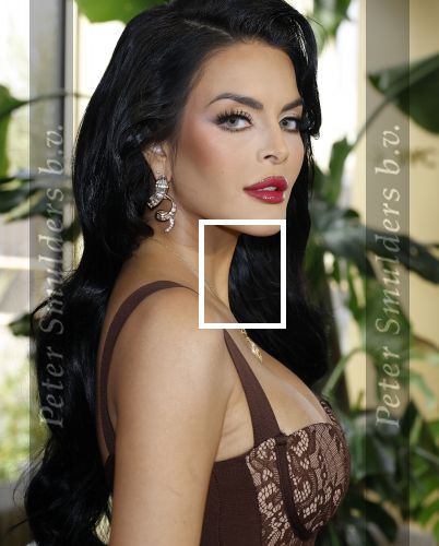 Amsterdam 11 november 2025
Presentatie real housewives of Amsterdam in het W hotel.
Aanwezig Niama Amhali Renee Vervoorn Cherry Ann Person Lilian Dziedzic Kimmylien Nguyen Djamila Celina en Elvira Penthesilea.