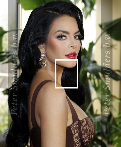 Amsterdam 11 november 2025
Presentatie real housewives of Amsterdam in het W hotel.
Aanwezig Niama Amhali Renee Vervoorn Cherry Ann Person Lilian Dziedzic Kimmylien Nguyen Djamila Celina en Elvira Penthesilea.