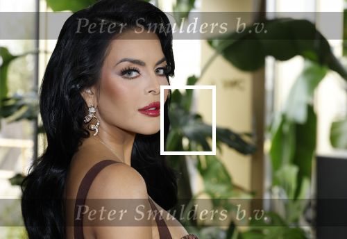 Amsterdam 11 november 2025
Presentatie real housewives of Amsterdam in het W hotel.
Aanwezig Niama Amhali Renee Vervoorn Cherry Ann Person Lilian Dziedzic Kimmylien Nguyen Djamila Celina en Elvira Penthesilea.