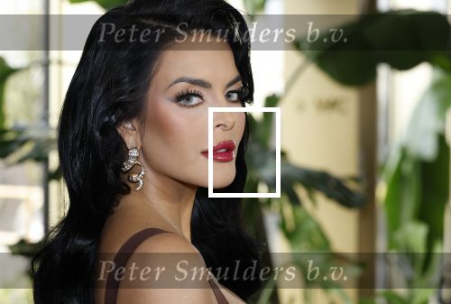 Amsterdam 11 november 2025
Presentatie real housewives of Amsterdam in het W hotel.
Aanwezig Niama Amhali Renee Vervoorn Cherry Ann Person Lilian Dziedzic Kimmylien Nguyen Djamila Celina en Elvira Penthesilea.