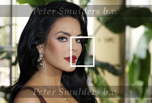 Amsterdam 11 november 2025
Presentatie real housewives of Amsterdam in het W hotel.
Aanwezig Niama Amhali Renee Vervoorn Cherry Ann Person Lilian Dziedzic Kimmylien Nguyen Djamila Celina en Elvira Penthesilea.