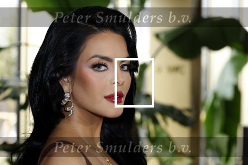 Amsterdam 11 november 2025
Presentatie real housewives of Amsterdam in het W hotel.
Aanwezig Niama Amhali Renee Vervoorn Cherry Ann Person Lilian Dziedzic Kimmylien Nguyen Djamila Celina en Elvira Penthesilea.