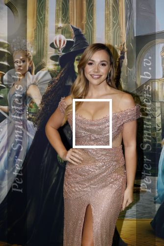 Amsterdam 18 november 2025
Premiere Wicked in het deLaMar theater . Emma Heesters