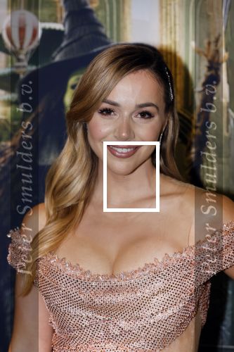 Amsterdam 18 november 2025
Premiere Wicked in het deLaMar theater . Emma Heesters