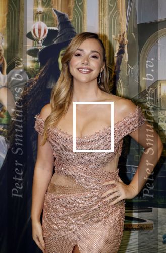 Amsterdam 18 november 2025
Premiere Wicked in het deLaMar theater . Emma Heesters