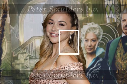 Amsterdam 18 november 2025
Premiere Wicked in het deLaMar theater . Emma Heesters