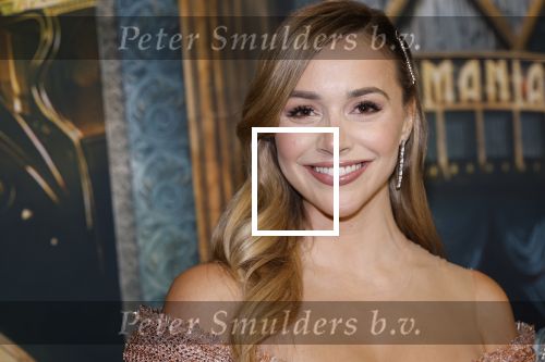 Amsterdam 18 november 2025
Premiere Wicked in het deLaMar theater . Emma Heesters