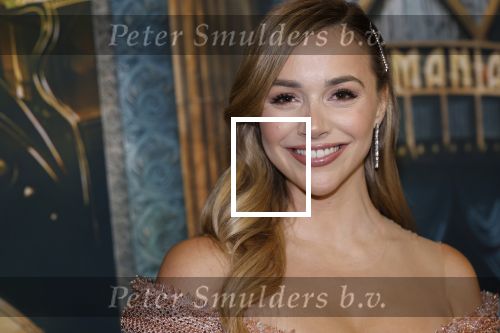 Amsterdam 18 november 2025
Premiere Wicked in het deLaMar theater . Emma Heesters