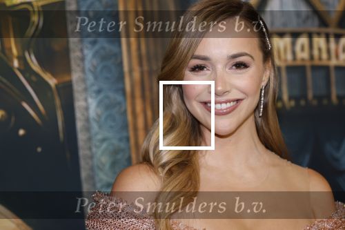 Amsterdam 18 november 2025
Premiere Wicked in het deLaMar theater . Emma Heesters