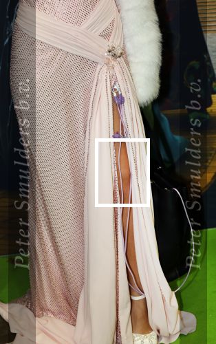 Amsterdam 18 november 2025
Premiere Wicked in het deLaMar theater . Emma Kok kwam met zijn nieuwe vriendin