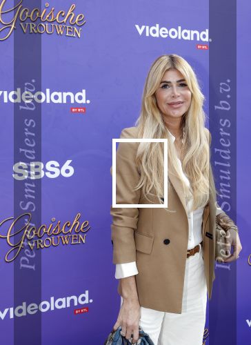 Blaricum 17 oktober 2025
Perspresentatie eerste aflevering Gooische vrouwen met oa aanwezig Linda de Mol Susan Visser Liews Visschedijk Teunie de Brouwer Tommy v Lent Robert de Hoog en Eefje Kuijtzer . Estelle Cruijff