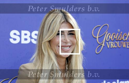 Blaricum 17 oktober 2025
Perspresentatie eerste aflevering Gooische vrouwen met oa aanwezig Linda de Mol Susan Visser Liews Visschedijk Teunie de Brouwer Tommy v Lent Robert de Hoog en Eefje Kuijtzer . Estelle Cruijff