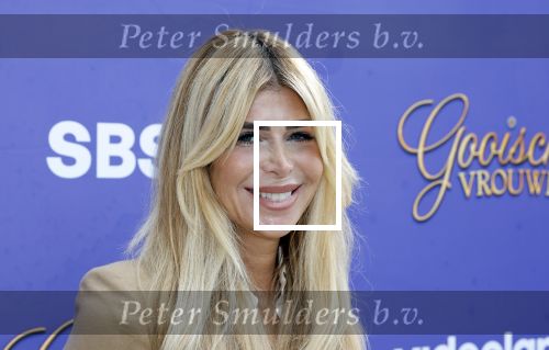 Blaricum 17 oktober 2025
Perspresentatie eerste aflevering Gooische vrouwen met oa aanwezig Linda de Mol Susan Visser Liews Visschedijk Teunie de Brouwer Tommy v Lent Robert de Hoog en Eefje Kuijtzer . Estelle Cruijff