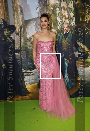 Amsterdam 18 november 2025
Premiere Wicked in het deLaMar theater . Estelle Kieft