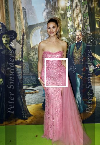 Amsterdam 18 november 2025
Premiere Wicked in het deLaMar theater . Estelle Kieft