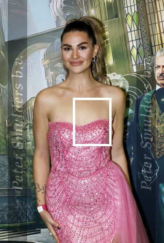 Amsterdam 18 november 2025
Premiere Wicked in het deLaMar theater . Estelle Kieft
