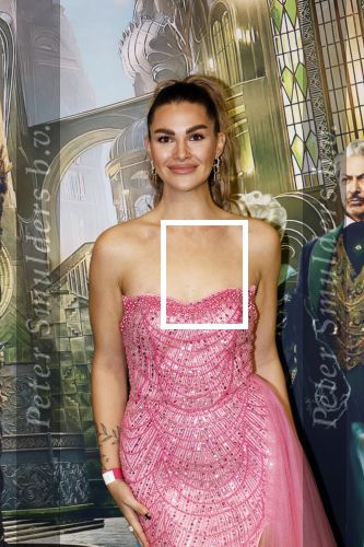 Amsterdam 18 november 2025
Premiere Wicked in het deLaMar theater . Estelle Kieft