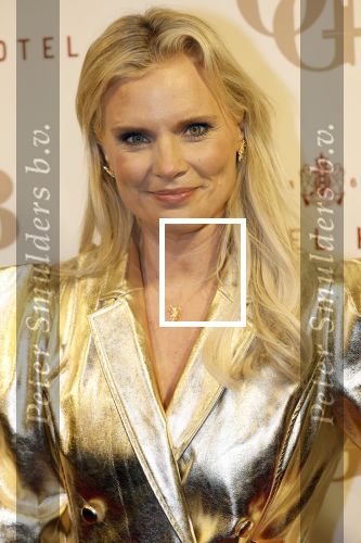 Amsterdam 26 november 2025
Olcay Gulsen geeft een groot feest ( Gemaskerd bal) in het Amstel Hotel. Eveline Stallaart